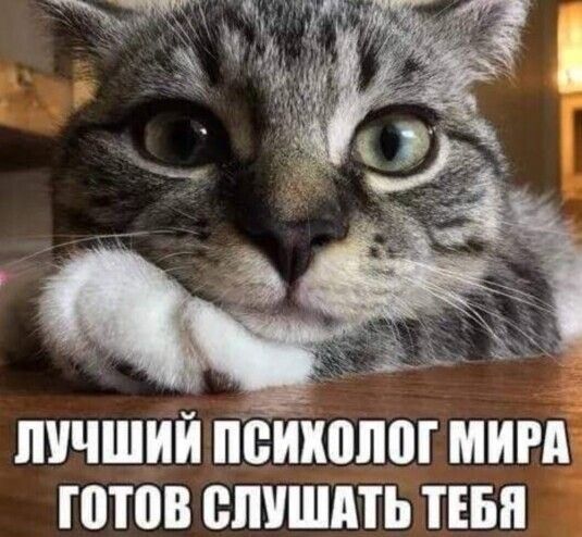ЛУЧШИЙ ПСИХОЛОГ МИРА ГОТОВ СЛУШАТЬ ТЕБЯ