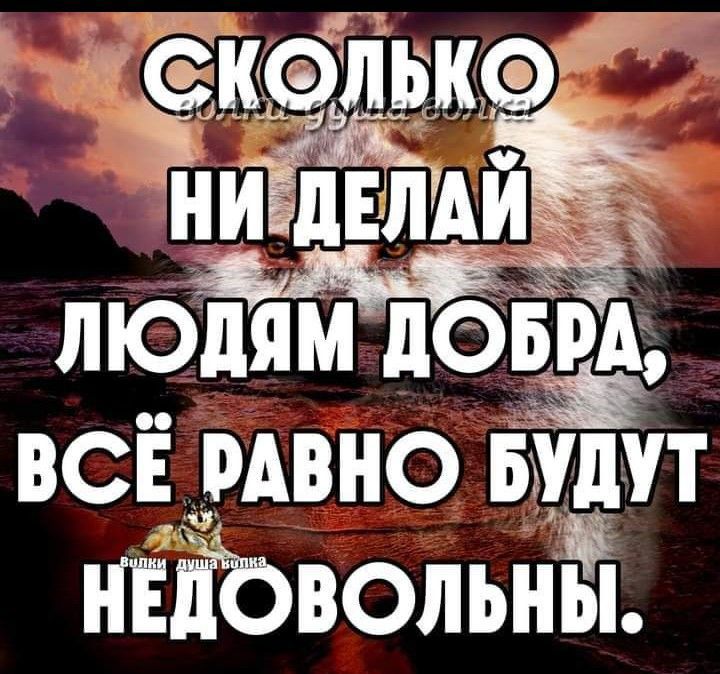 СКОЛЬКО НИ ДЕЛАЙ ЛЮДЯМ ДОБРА, ВСЁ РАВНО БУДУТ НЕДОВОЛЬНЫ. волки-душа-волка волки душа волка