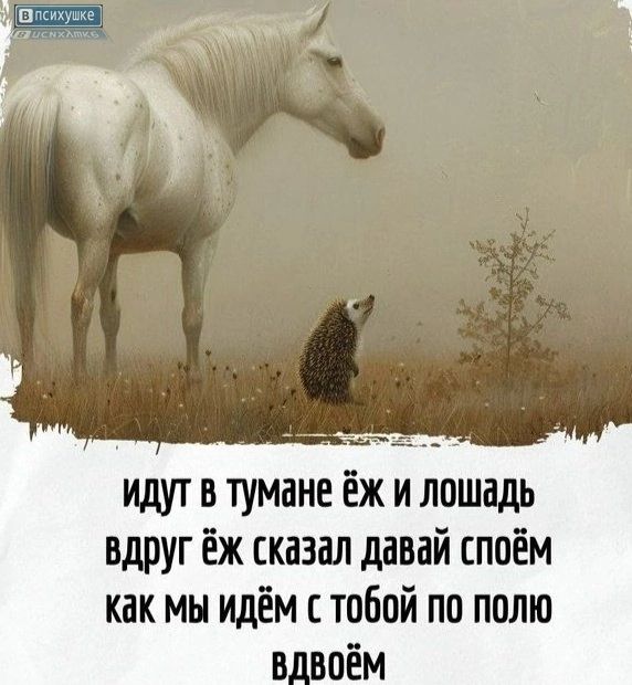 В психушке. Идут в тумане ёж и лошадь вдруг ёж сказал давай споём как мы идём с тобой по полю вдвоём