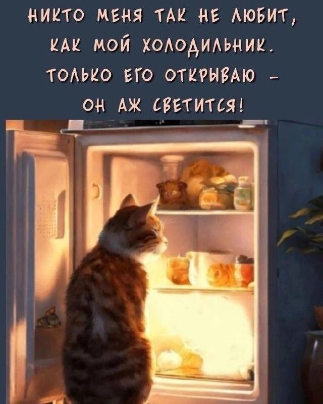 никто меня так не любит, как мой холодильник. только его открываю - он аж светится!