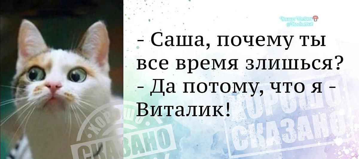 Саша, почему ты все время злишься? - Да потому, что я - Виталик!