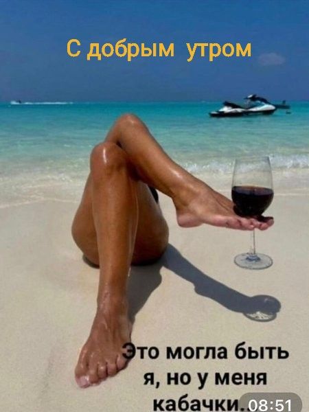 С добрым утром Это могла быть я, но у меня кабачки. 08:51