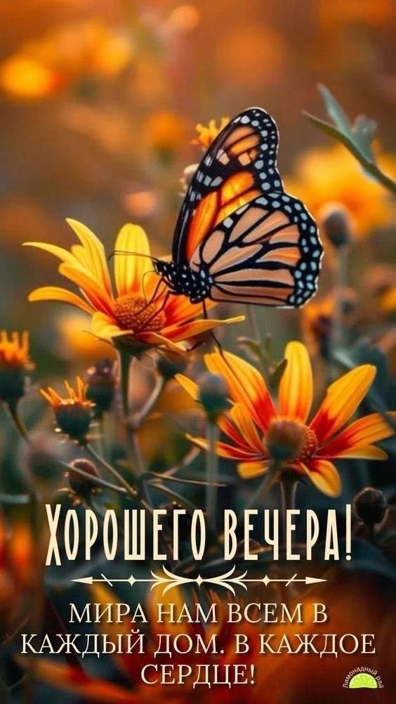 ХОРОШЕГО ВЕЧЕРА! МИРА НАМ ВСЕМ В КАЖДЫЙ ДОМ. В КАЖДОЕ СЕРДЦЕ!