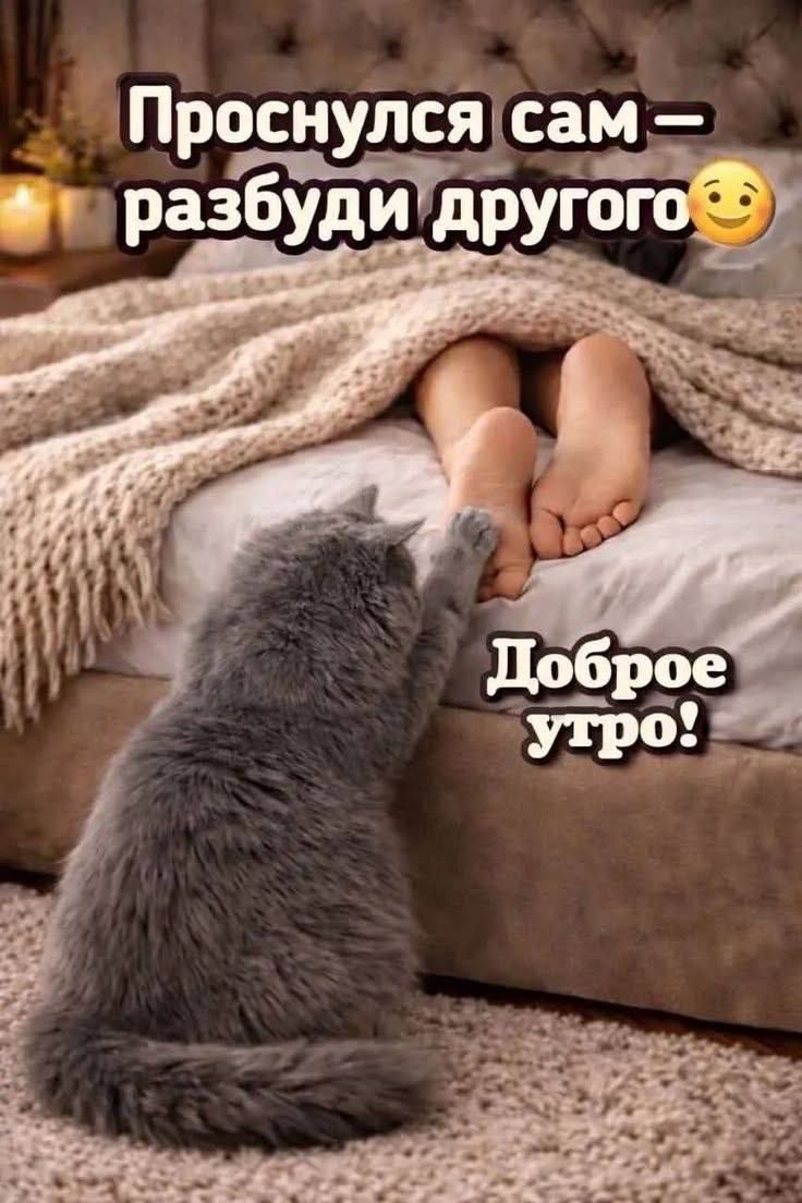 Проснулся сам — разбуди другого 🙂 Доброе утро!