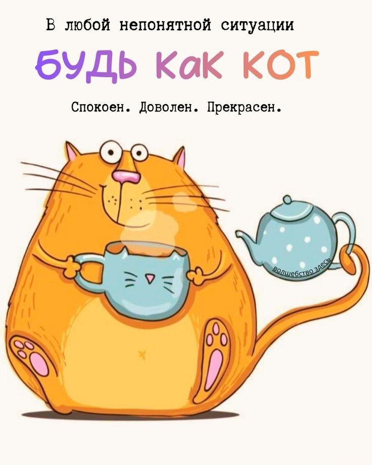 В любой непонятной ситуации будь как кот. Спокоен. Доволен. Прекрасен.