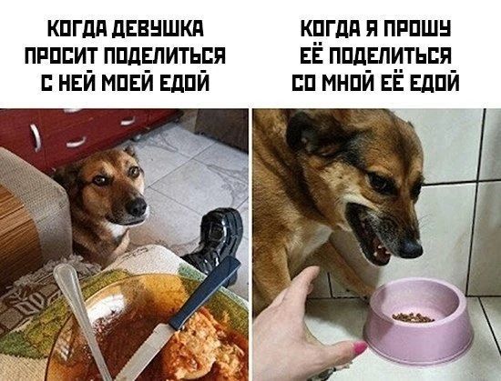 КОГДА ДЕВУШКА ПРОСИТ ПОДЕЛИТЬСЯ С НЕЙ МОЕЙ ЕДОЙ КОГДА Я ПРОШУ ЕЁ ПОДЕЛИТЬСЯ СО МНОЙ ЕЁ ЕДОЙ