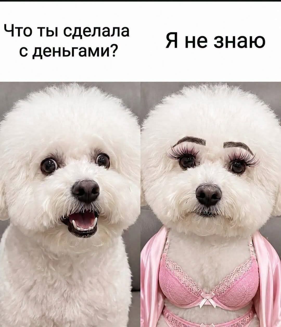 Что ты сделала с деньгами? Я не знаю