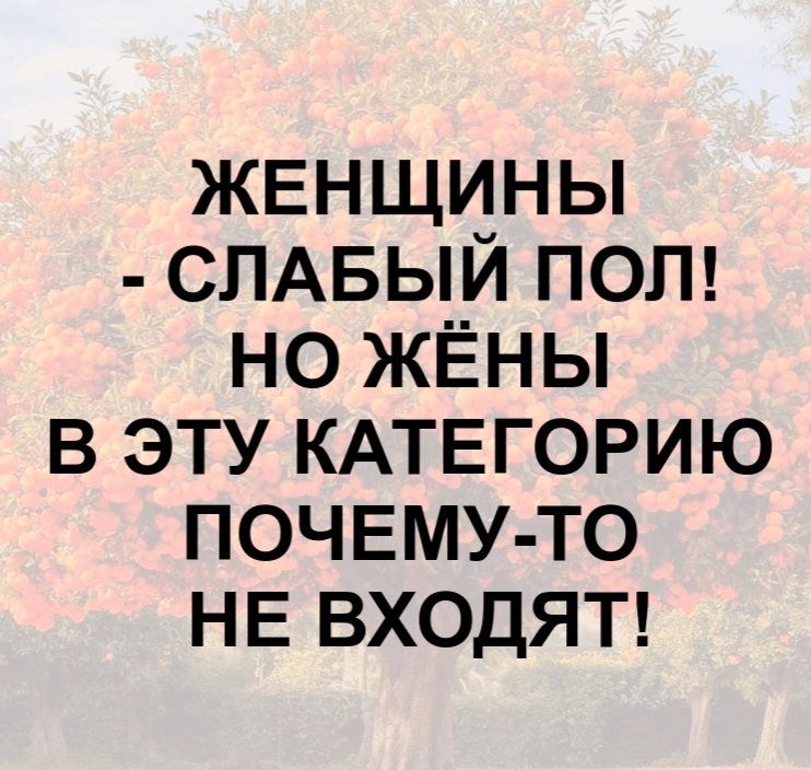 ЖЕНЩИНЫ - СЛАБЫЙ ПОЛ! НО ЖЁНЫ В ЭТУ КАТЕГОРИЮ ПОЧЕМУ-ТО НЕ ВХОДЯТ!