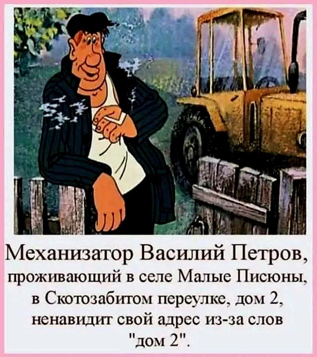 Механизатор Василий Петров, проживающий в селе Малые Писионы, в Скотозабитом переулке, дом 2, ненавидит свой адрес из-за слов 