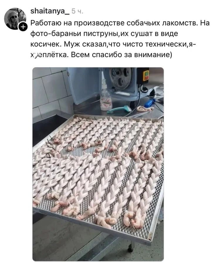 Работаю на производстве собачьих лакомств. На фото - бараньи пиструны, их сушат в виде косичек. Муж сказал, что чисто технически, я - хуеплётка. Всем спасибо за внимание