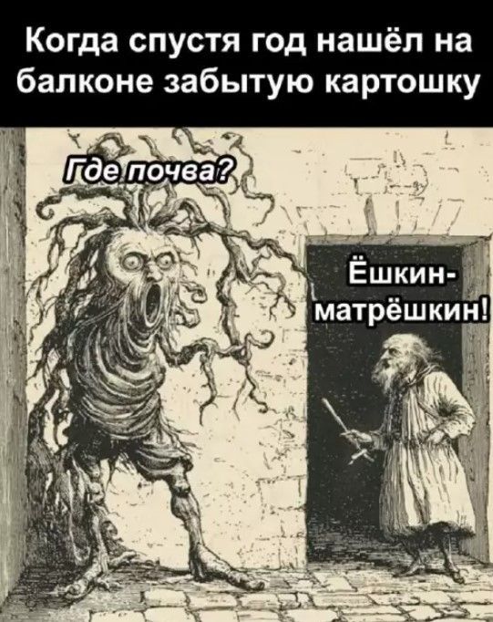 Когда спустя год нашёл на балконе забытую картошку Где почва? Ёшкин-матрёшкин!