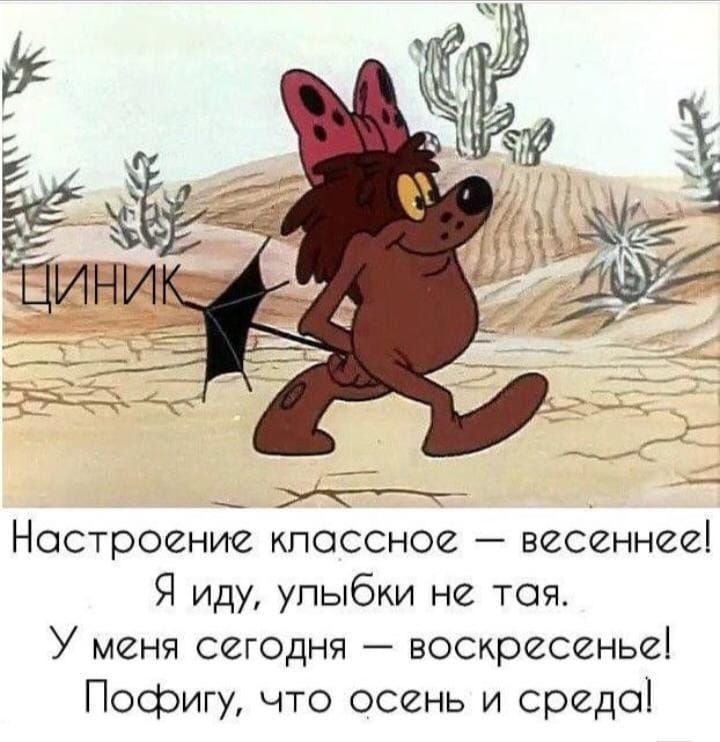 ЦИНИК. Настроение классное — весеннее! Я иду, улыбки не тая. У меня сегодня — воскресенье! Пофигу, что осень и среда!