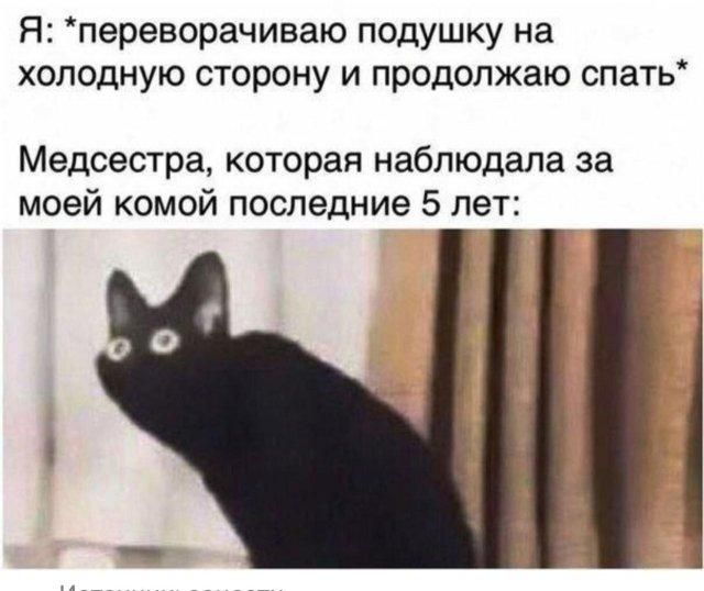 Я: *переворачиваю подушку на холодную сторону и продолжаю спать*
Медсестра, которая наблюдала за моей комой последние 5 лет: