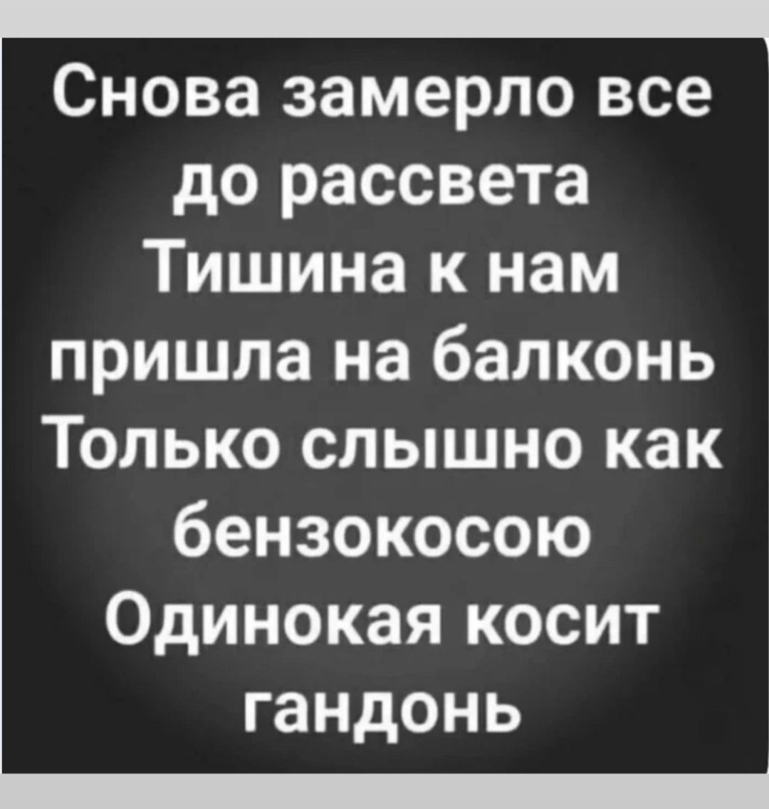 Снова замерло все до рассвета Тишина к нам пришла на балкон Только слышно как бензокосою Одинокая косит гандонь