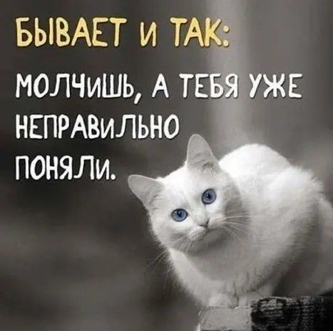 БЫВАЕТ И ТАК: МОЛЧИШЬ, А ТЕБЯ УЖЕ НЕПРАВИЛЬНО ПОНЯЛИ.