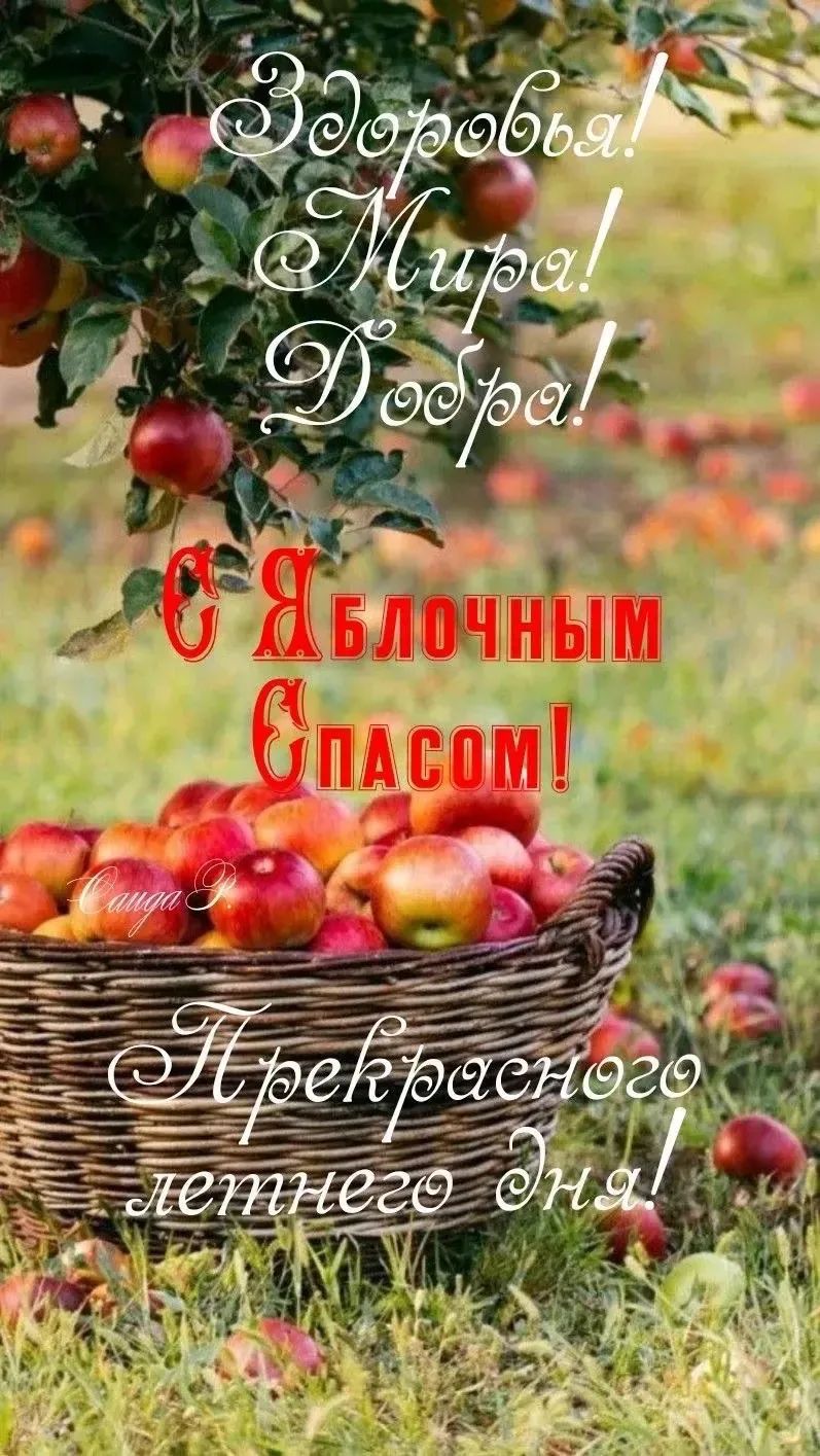 Здоровья! Мира! Добра! С Яблочным Спасом! Прекрасного летнего дня!