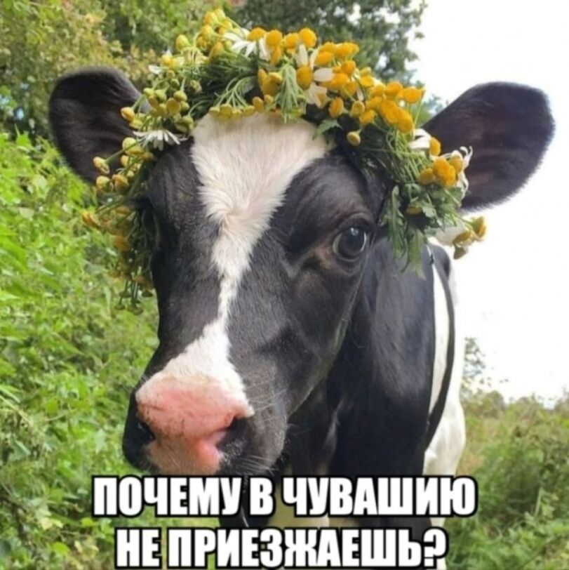 ПОЧЕМУ В ЧУВАШИЮ НЕ ПРИЕЗЖАЕШЬ?
