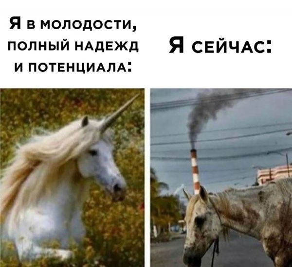Я в молодости, полный надежд и потенциала: Я сейчас: