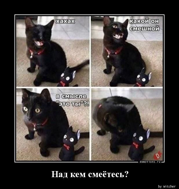 хахах какой он смешной В смысле 