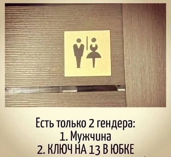 Есть только 2 гендера: 1. Мужчина 2. КЛЮЧ НА 13 В ЮБКЕ