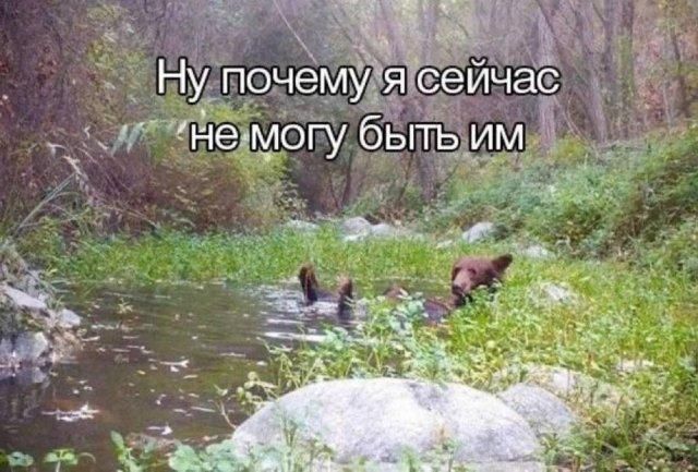 Ну почему я сейчас не могу быть им