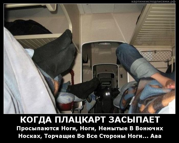 КОГДА ПЛАЦКАРТ ЗАСЫПАЕТ Просыпаются Ноги, Ноги, Немытые В Вонючих Носках, Торчащие Во Все Стороны Ноги... Ааа
