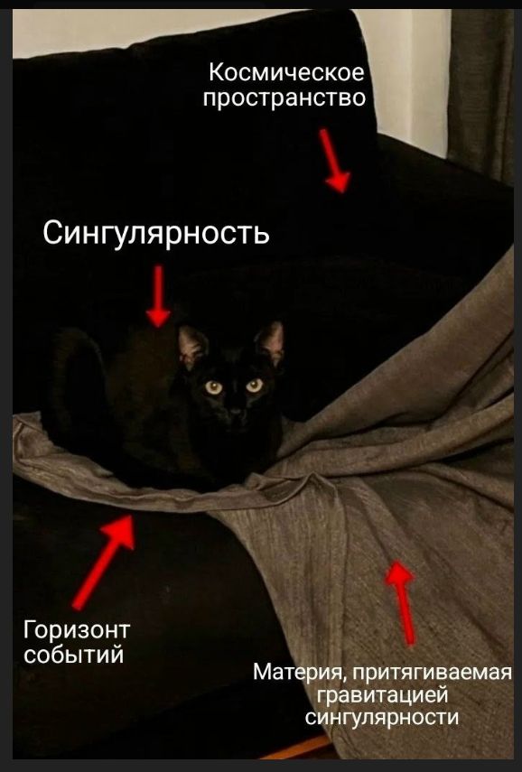 Космическое пространство Сингулярность Горизонт событий Материя, притягиваемая гравитацией сингулярности