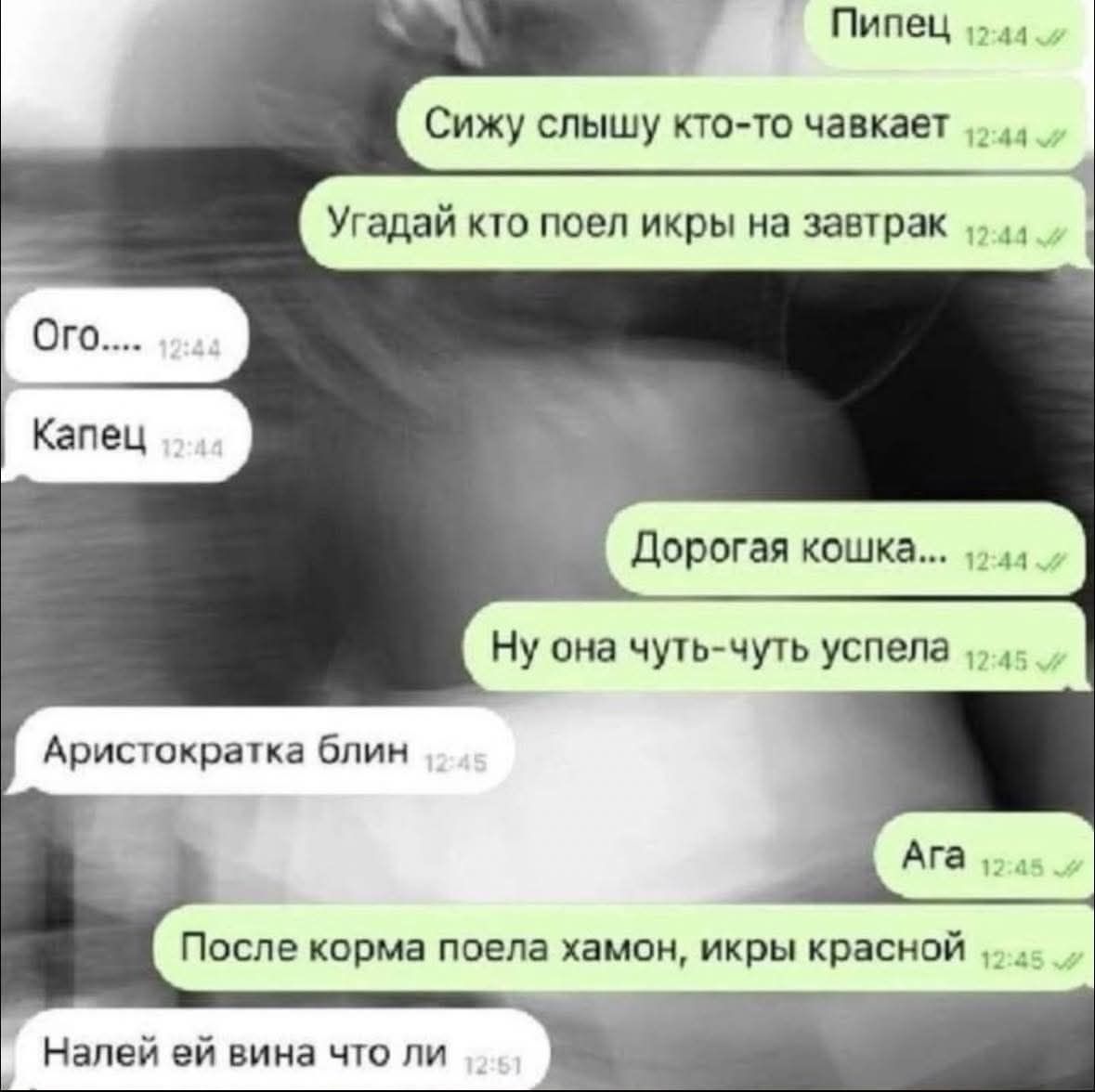 Пипец Сижу слышу кто-то чавкает Угадай кто поел икры на завтрак Ого.... Капец Дорогая кошка... Ну она чуть-чуть успела Аристократка блин Ага После корма поела хамон, икры красной Налей ей вина что ли