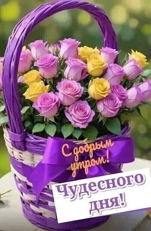 С добрым утром! Чудесного дня!