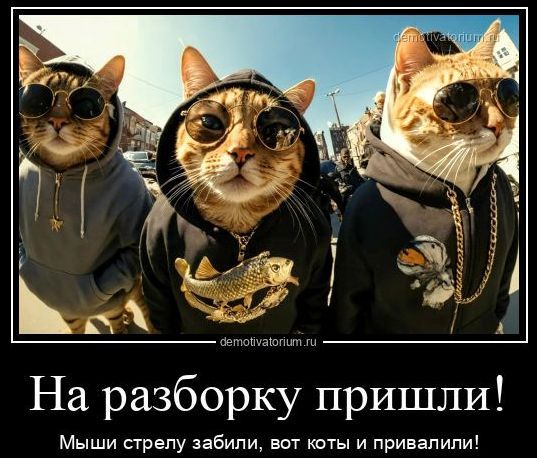 На разборку пришли! Мыши стрелу забили, вот коты и привалили!