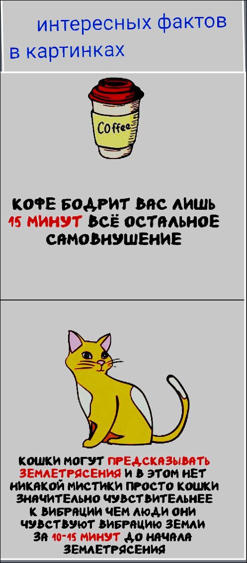 интересных фактов в картинках Кофе бодрит вас лишь 15 минут, всё остальное самовнушение. Кошки могут предсказывать землетрясения, и в этом нет никакой мистики, просто кошки значительно чувствительнее к вибрации, чем люди, они чувствуют вибрацию земли за 10-15 минут до начала землетрясения.