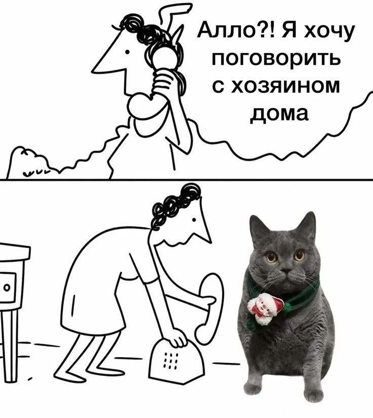 Алло?! Я хочу поговорить с хозяином дома