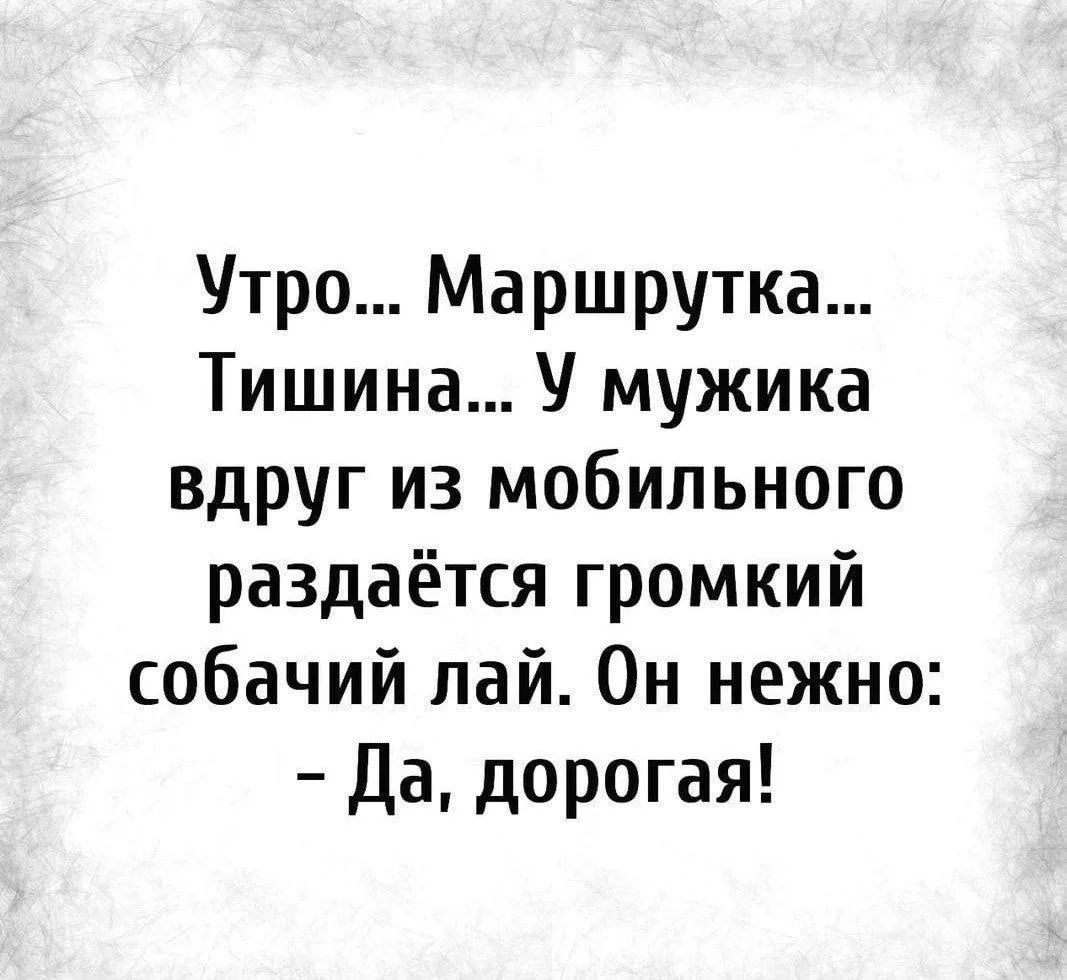 Утро... Маршрутка... Тишина... У мужика вдруг из мобильного раздаётся громкий собачий лай. Он нежно: - Да, дорогая!