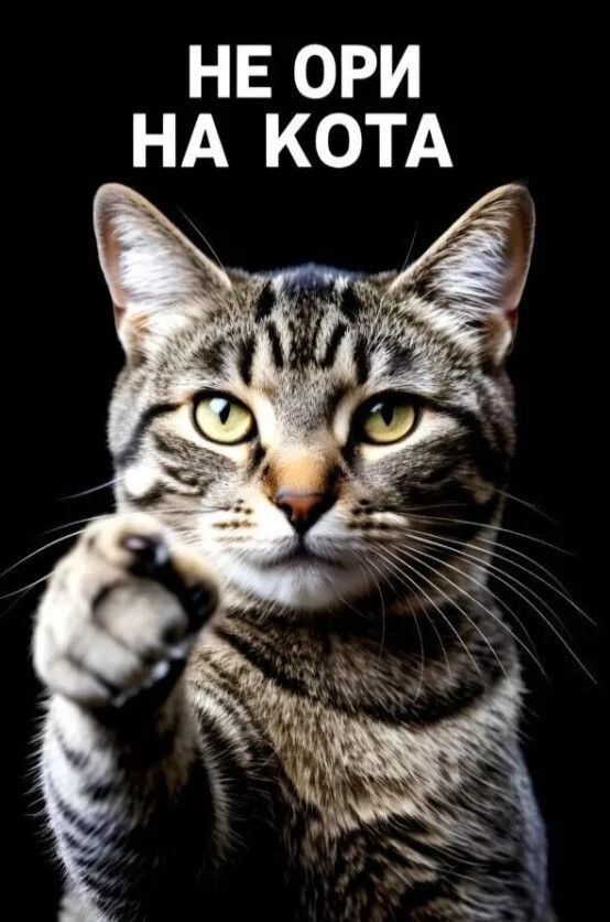 НЕ ОРИ НА КОТА