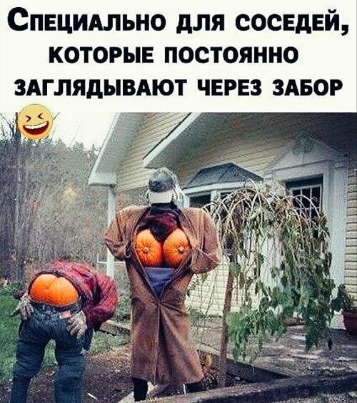 СПЕЦИАЛЬНО ДЛЯ СОСЕДЕЙ, КОТОРЫЕ ПОСТОЯННО ЗАГЛЯДЫВАЮТ ЧЕРЕЗ ЗАБОР