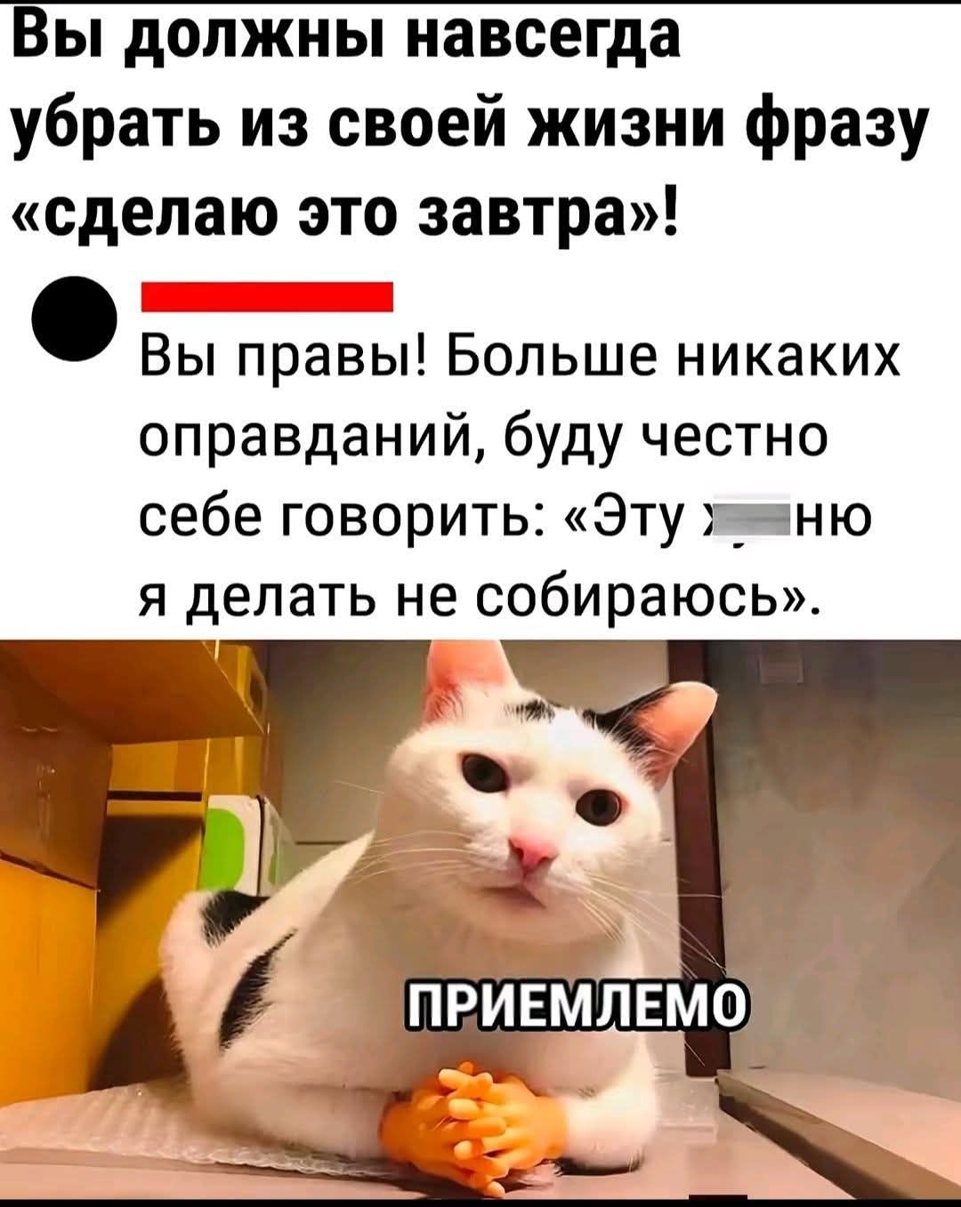 Вы должны навсегда убрать из своей жизни фразу «сделаю это завтра»! Вы правы! Больше никаких оправданий, буду честно себе говорить: «Эту херню я делать не собираюсь» приемлемо