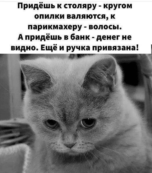 Придёшь к столяру - кругом опилки валяются, к парикмахеру - волосы. А придёшь в банк - денег не видно. Ещё и ручка привязана!