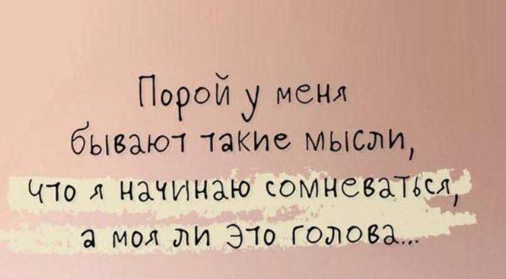 Порой у меня бывают такие мысли, что я начинаю сомневаться, а моя ли это голова...