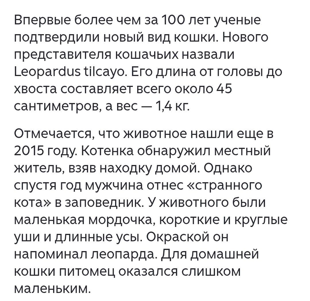 Впервые более чем за 100 лет ученые подтвердили новый вид кошки. Нового представителя кошачьих назвали Leopardus tilcayo. Его длина от головы до хвоста составляет всего около 45 сантиметров, а вес — 1,4 кг. Отмечается, что животное нашли еще в 2015 году. Котенка обнаружил местный житель, взяв находку домой. Однако спустя год мужчина отнес
