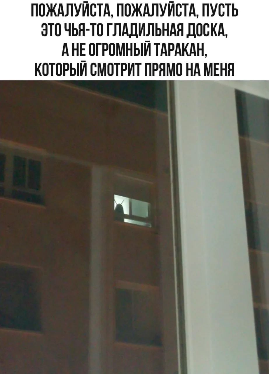 ПОЖАЛУЙСТА, ПОЖАЛУЙСТА, ПУСТЬ ЭТО ЧЬЯ-ТО ГЛАДИЛЬНАЯ ДОСКА, А НЕ ОГРОМНЫЙ ТАРАКАН, КОТОРЫЙ СМОТРИТ ПРЯМО НА МЕНЯ