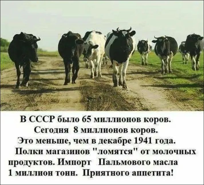 В СССР было 65 миллионов коров. Сегодня 8 миллионов коров. Это меньше, чем в декабре 1941 года. Полки магазинов 