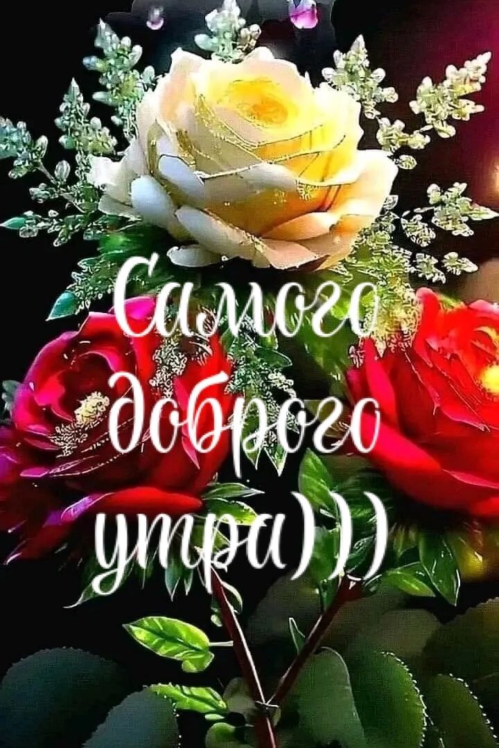 Самого доброго утра)))