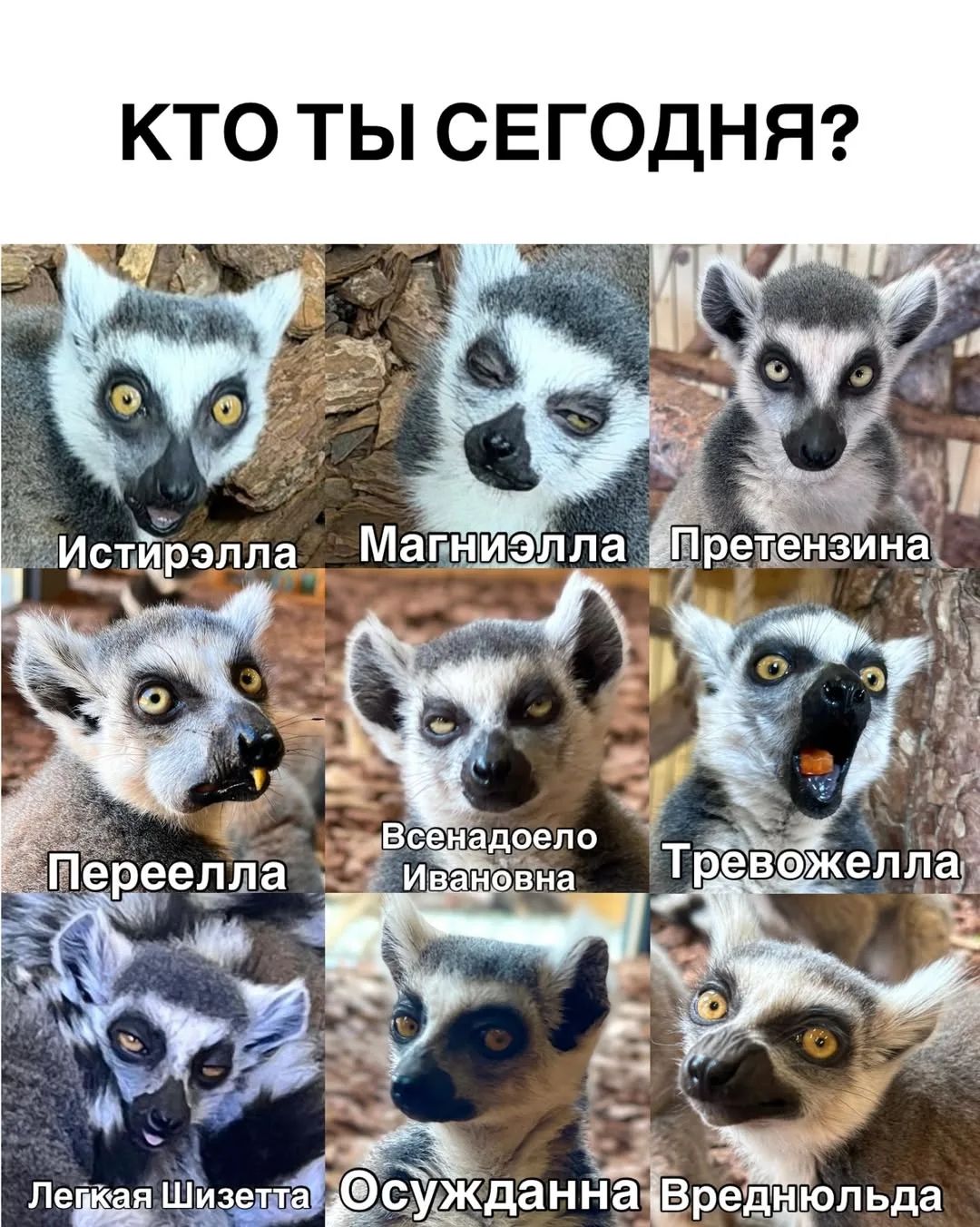 КТО ТЫ СЕГОДНЯ? Истирэлла Магниэлла Претензина Переелла Всенадоело Ивановна Тревожелла Легкая Шиизетта Осужданна Вреднюльда