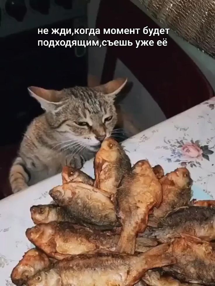 не жди,когда момент будет подходящим,съешь уже её