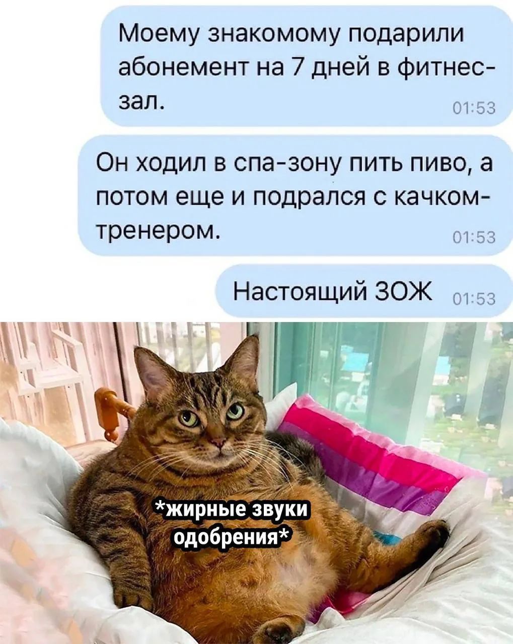 Моему знакомому подарили абонемент на 7 дней в фитнес-зал. Он ходил в спа-зону пить пиво, а потом еще и подрался с качком-тренером. Настоящий ЗОЖ *жирные звуки одобрения*