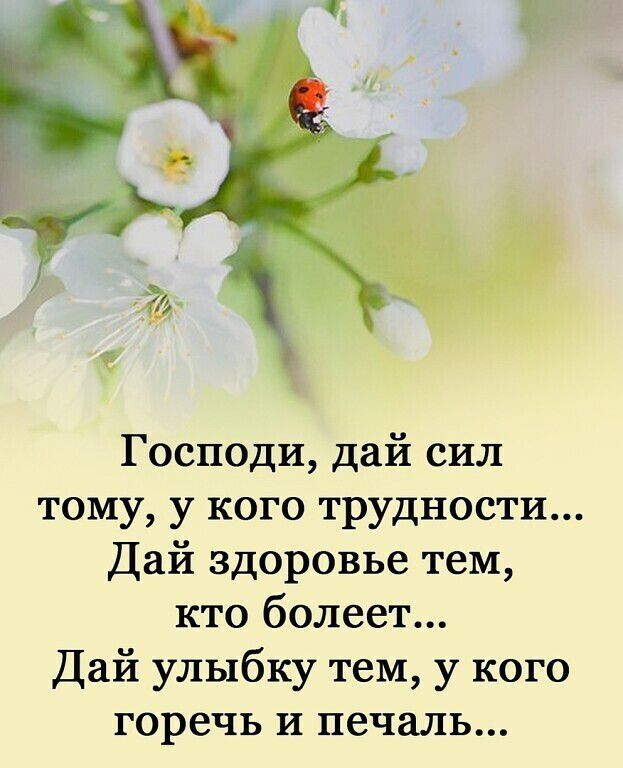 Господи, дай сил тому, у кого трудности... Дай здоровье тем, кто болеет... Дай улыбку тем, у кого горечь и печаль...