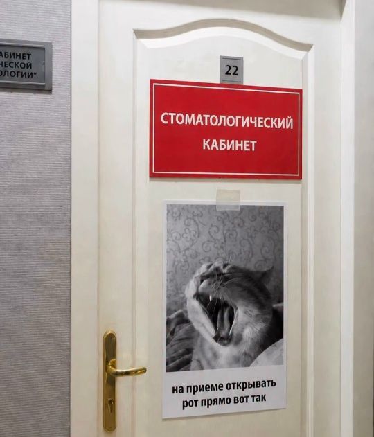 22 СТОМАТОЛОГИЧЕСКИЙ КАБИНЕТ на приеме открывать рот прямо вот так