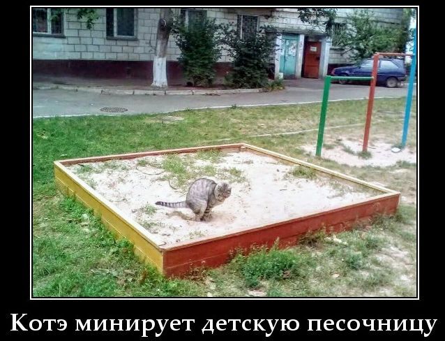 Котэ минирует детскую песочницу