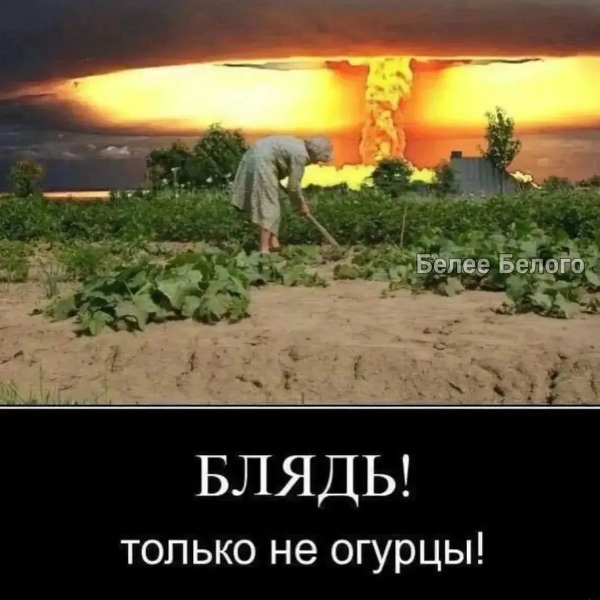 Белее Белого БЛЯДЬ! только не огурцы!