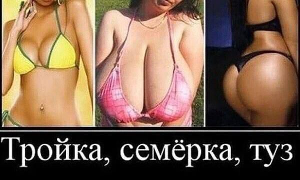 Тройка, семёрка, туз
